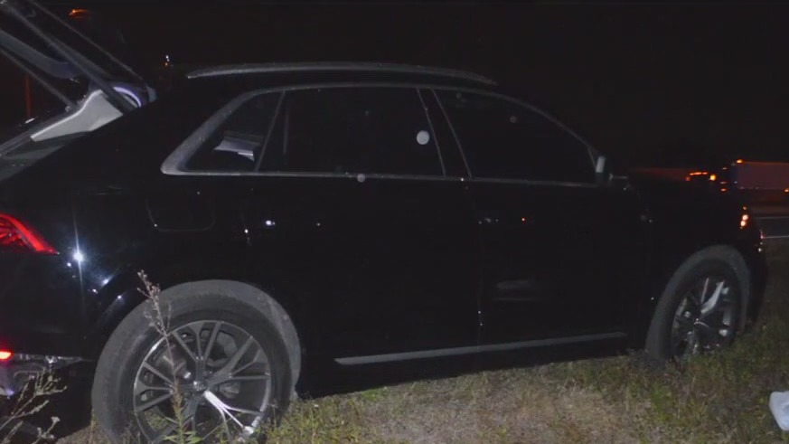 Deadly hit-and-run suspect arrested